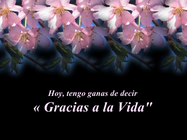 gracias-a-la-vida-1-728.jpg